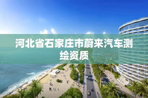 河北省石家庄市蔚来汽车测绘资质