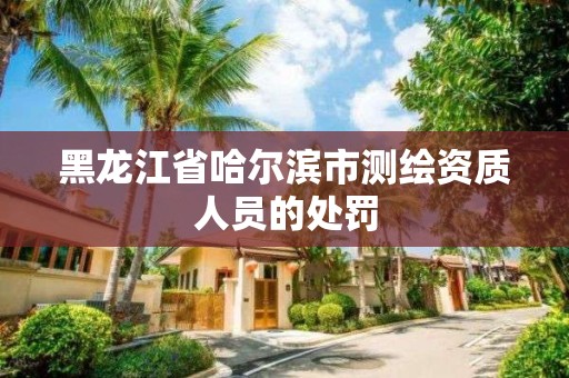 黑龙江省哈尔滨市测绘资质人员的处罚