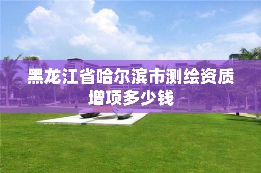 黑龙江省哈尔滨市测绘资质增项多少钱