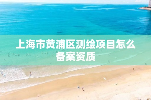 上海市黄浦区测绘项目怎么备案资质