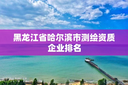 黑龙江省哈尔滨市测绘资质企业排名