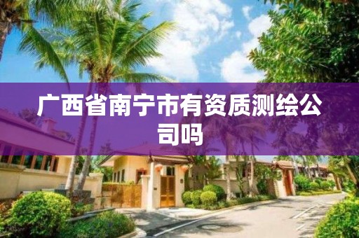 广西省南宁市有资质测绘公司吗