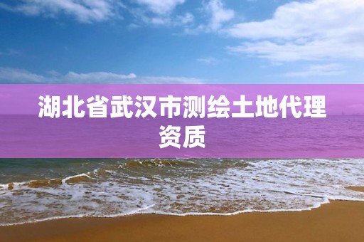 湖北省武汉市测绘土地代理资质