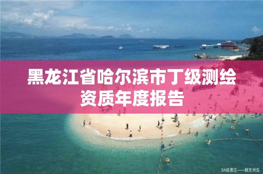 黑龙江省哈尔滨市丁级测绘资质年度报告