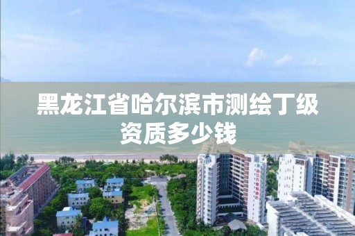 黑龙江省哈尔滨市测绘丁级资质多少钱