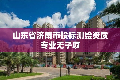 山东省济南市投标测绘资质专业无子项