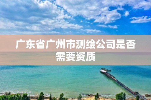 广东省广州市测绘公司是否需要资质