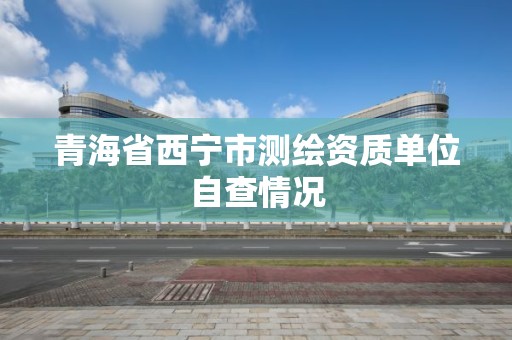 青海省西宁市测绘资质单位自查情况