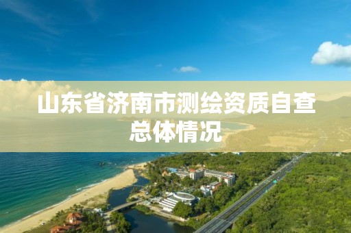 山东省济南市测绘资质自查总体情况