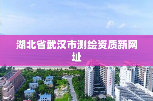 湖北省武汉市测绘资质新网址