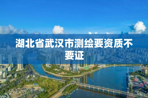 湖北省武汉市测绘要资质不要证