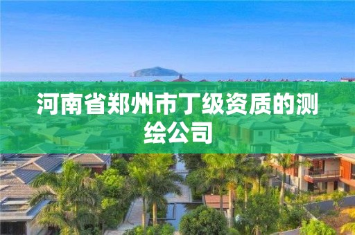 河南省郑州市丁级资质的测绘公司