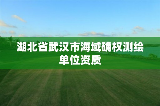 湖北省武汉市海域确权测绘单位资质