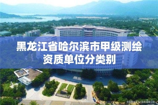 黑龙江省哈尔滨市甲级测绘资质单位分类别