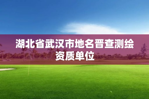 湖北省武汉市地名晋查测绘资质单位