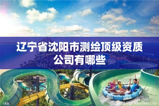 辽宁省沈阳市测绘顶级资质公司有哪些