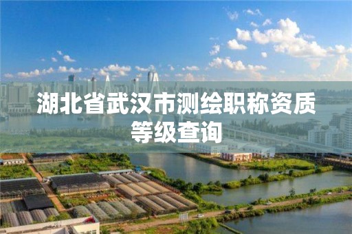 湖北省武汉市测绘职称资质等级查询