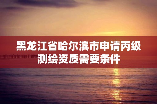 黑龙江省哈尔滨市申请丙级测绘资质需要条件