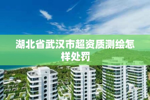 湖北省武汉市超资质测绘怎样处罚