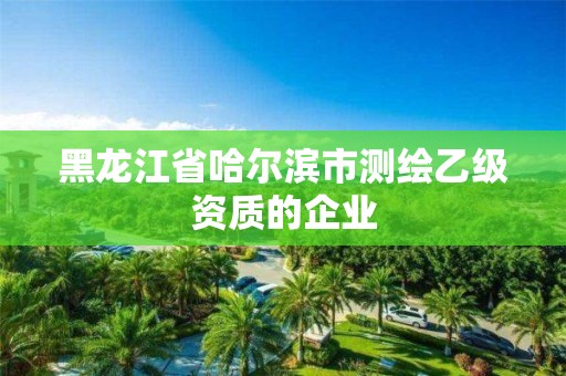 黑龙江省哈尔滨市测绘乙级资质的企业