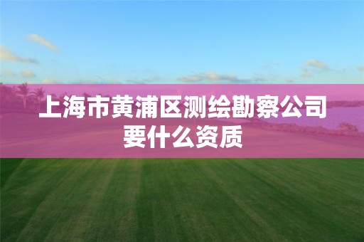 上海市黄浦区测绘勘察公司要什么资质