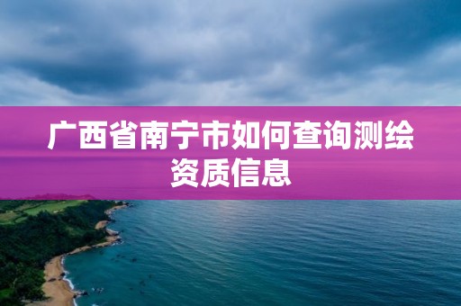 广西省南宁市如何查询测绘资质信息