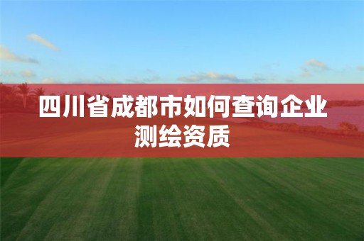 四川省成都市如何查询企业测绘资质