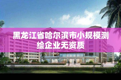 黑龙江省哈尔滨市小规模测绘企业无资质