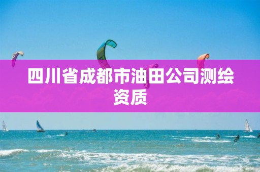 四川省成都市油田公司测绘资质