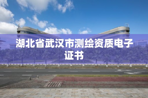 湖北省武汉市测绘资质电子证书