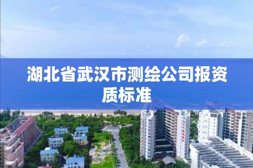 湖北省武汉市测绘公司报资质标准