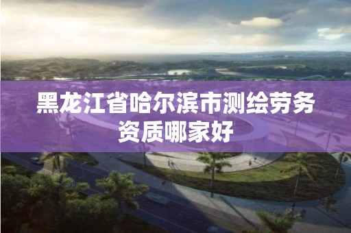 黑龙江省哈尔滨市测绘劳务资质哪家好