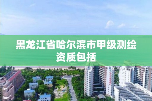 黑龙江省哈尔滨市甲级测绘资质包括