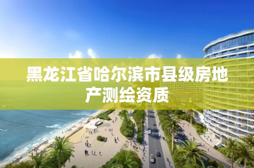 黑龙江省哈尔滨市县级房地产测绘资质