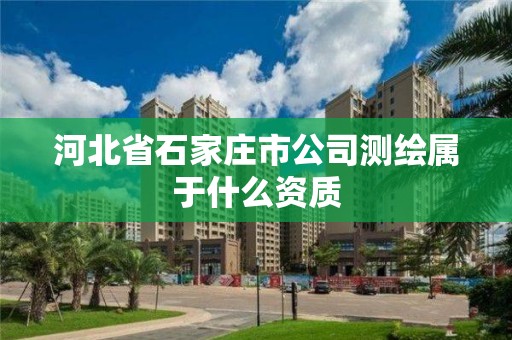 河北省石家庄市公司测绘属于什么资质