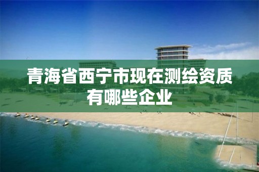 青海省西宁市现在测绘资质有哪些企业