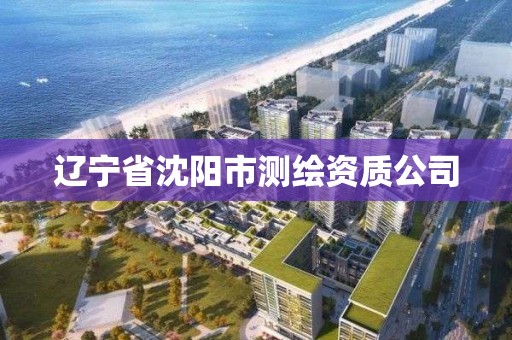 辽宁省沈阳市测绘资质公司