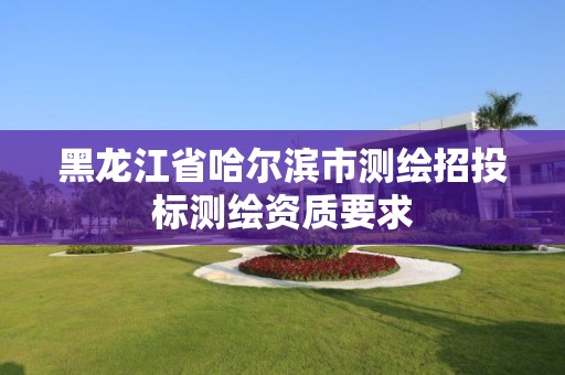 黑龙江省哈尔滨市测绘招投标测绘资质要求