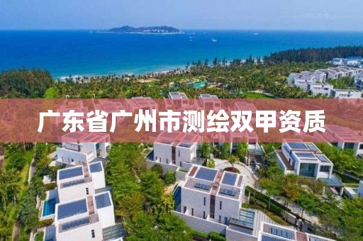 广东省广州市测绘双甲资质