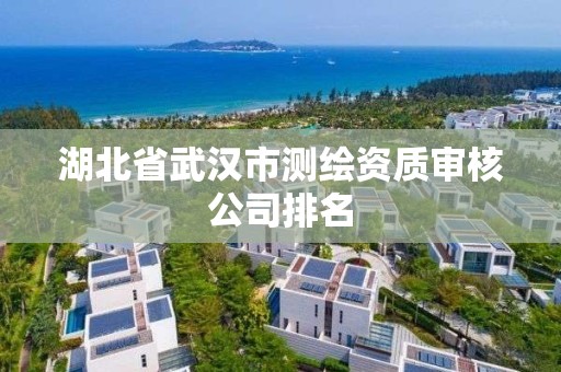 湖北省武汉市测绘资质审核公司排名