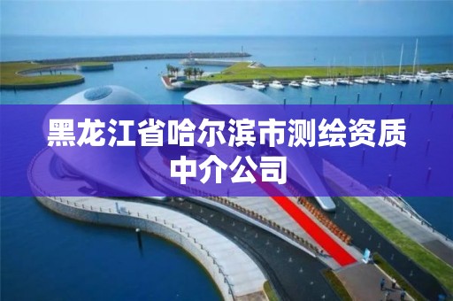 黑龙江省哈尔滨市测绘资质中介公司