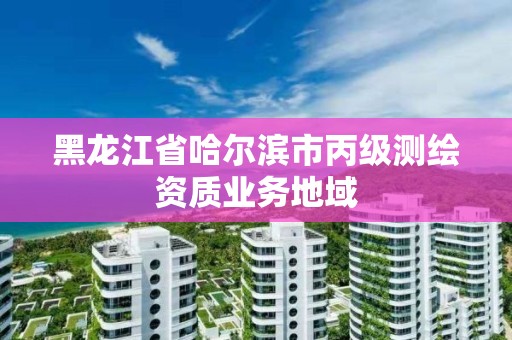 黑龙江省哈尔滨市丙级测绘资质业务地域