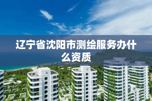 辽宁省沈阳市测绘服务办什么资质