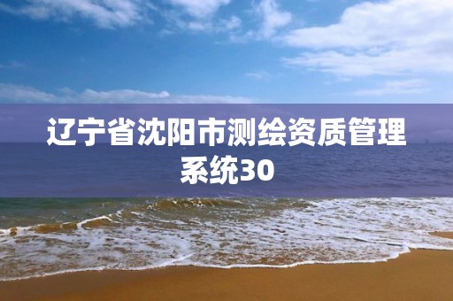 辽宁省沈阳市测绘资质管理系统30