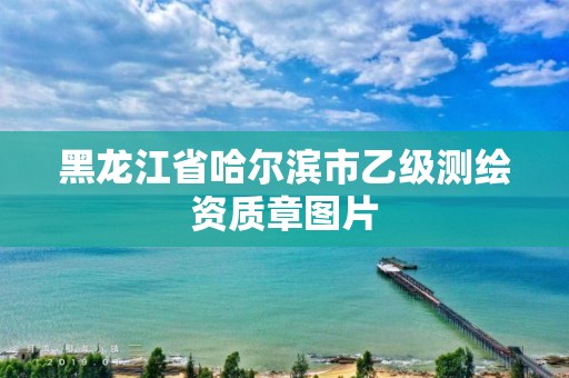 黑龙江省哈尔滨市乙级测绘资质章图片