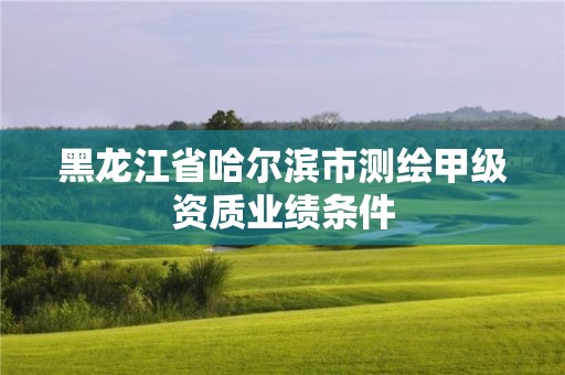 黑龙江省哈尔滨市测绘甲级资质业绩条件