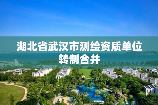 湖北省武汉市测绘资质单位转制合并