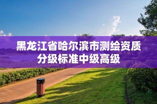 黑龙江省哈尔滨市测绘资质分级标准中级高级