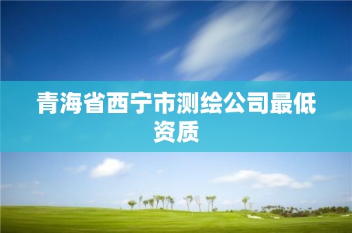 青海省西宁市测绘公司最低资质