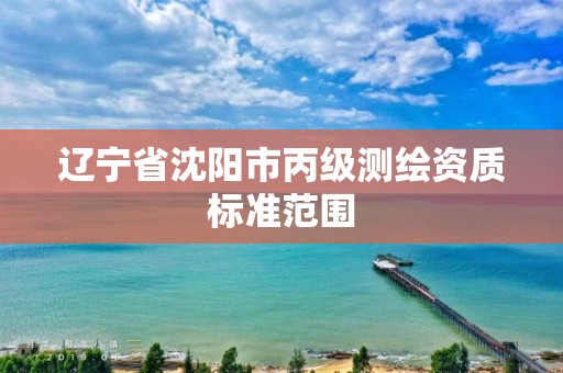 辽宁省沈阳市丙级测绘资质标准范围